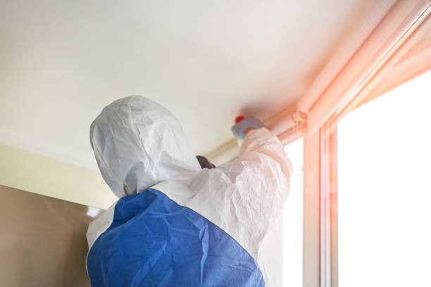 Best Mold Removal for HVAC Installations  in Saddle Rock, NY