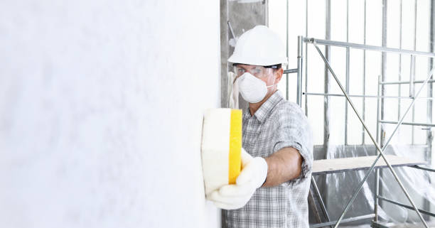 Professional Mold Removal & Remediation in Saddle Rock, NY