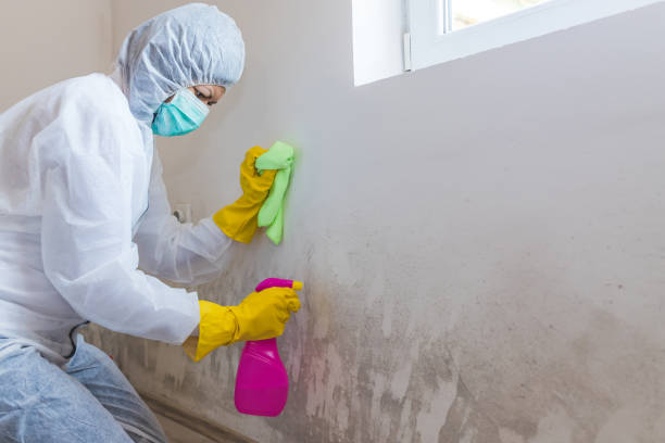 Forensic Mold Investigation